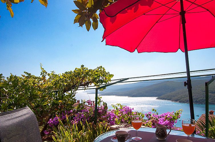 Unterkunft 1014250 - Appartement Istrien - Appartement Studio "Oleander " mit Terrasse