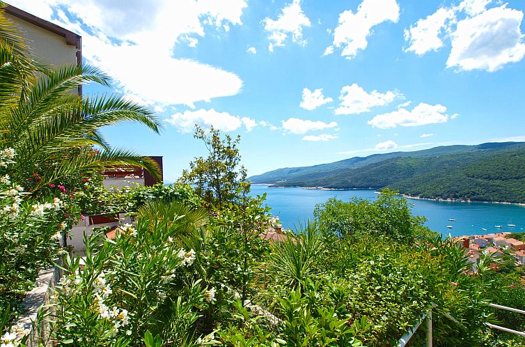 Appartement Apartment 2023