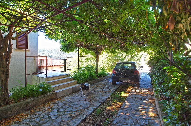 Appartement Apartment 981