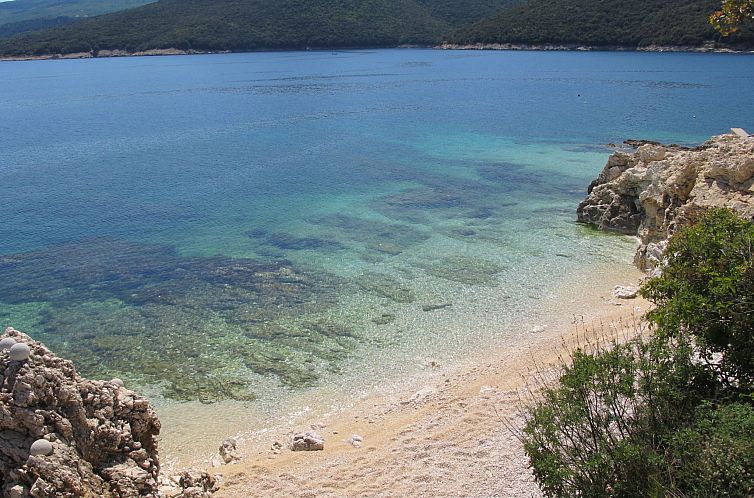 Appartement Apartment 828