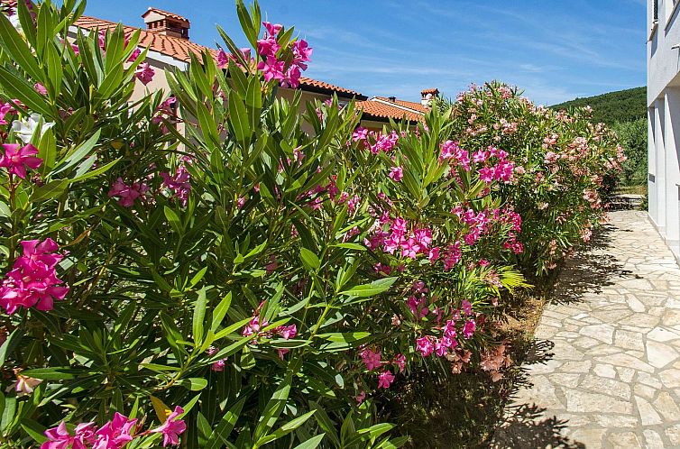 Appartement Apartment 2024