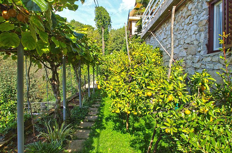 Appartement Apartment 154