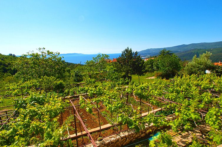 Appartement Apartment 757