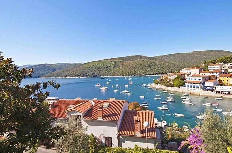 Guest house 1014281 - Apartment Istria - Appartement Appartement mit drei Schlafzimmern für 5 Person