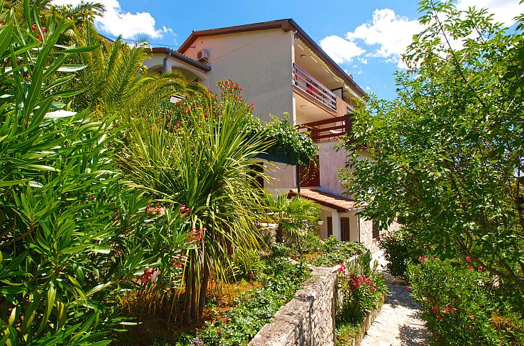 Appartement Apartment 2023