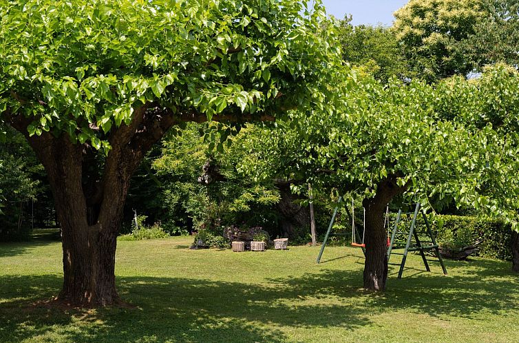 Vakantiehuis Gemütliches Ferienhaus in Ružići mit Offenem