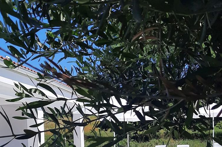 Vakantiehuis Villa Destiny