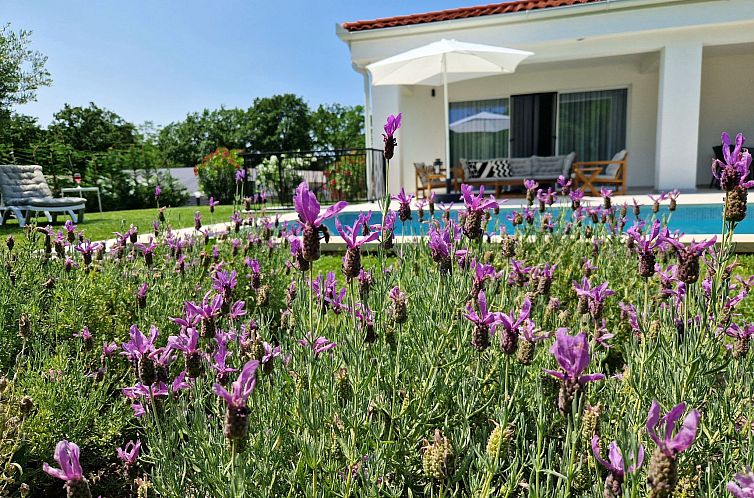 Vakantiehuis Villa Destiny