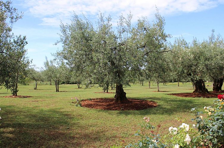 Appartement Jakomina 1