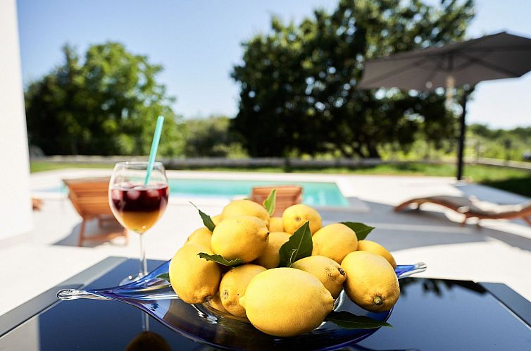 Vakantiehuis Villa Martin Noel