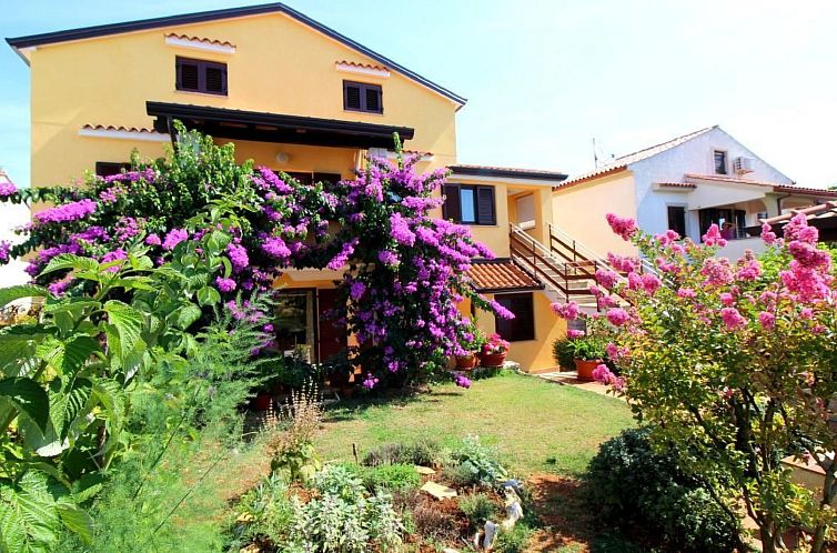 Guest house 10163114 - Apartment Istria - Appartement Tancel A3