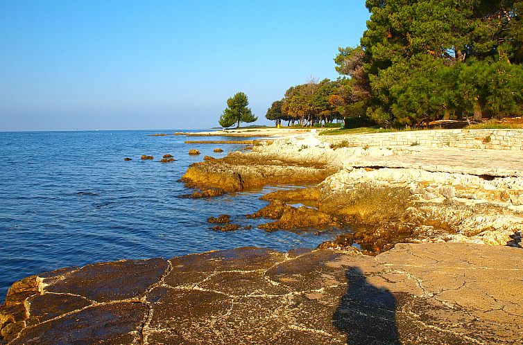 Appartement Apartment 2074