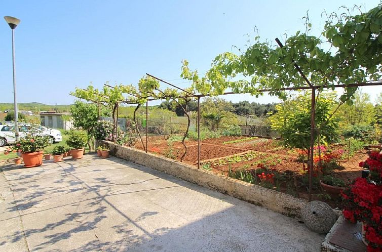 Appartement Liliana