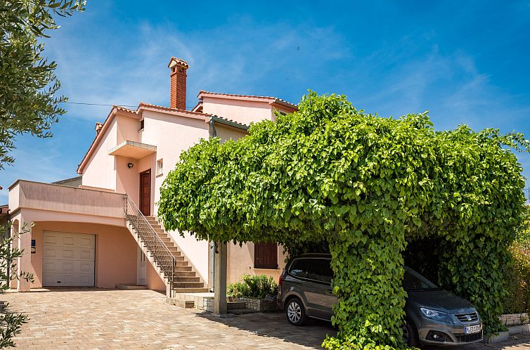 Verblijf 1016374 - Appartement Istrie - Appartement Giuliano