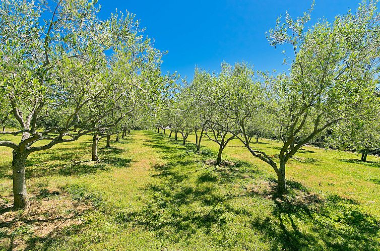 Vakantiehuis Margherita