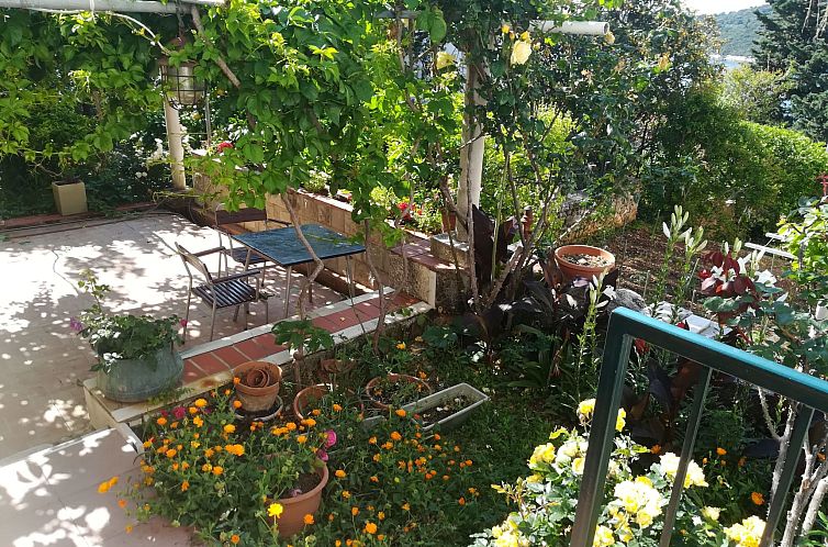 Appartement für 3 Personen ca. 30 m&sup2; in Dubrovnik, Dal