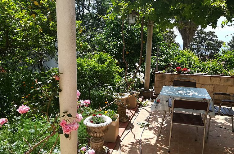 Appartement für 3 Personen ca. 30 m&sup2; in Dubrovnik, Dal