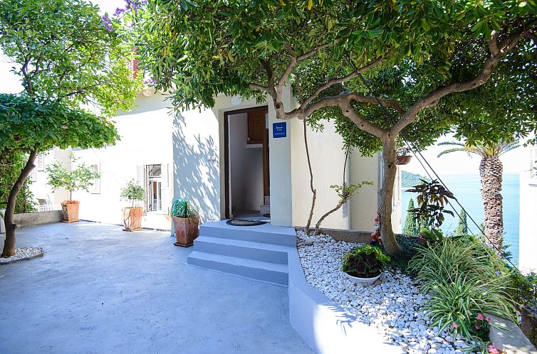 Appartement Wohnung "Tanja" mit Terrasse