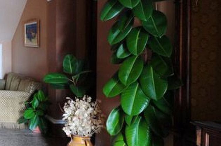 Appartement in Pile mit Vorgarten