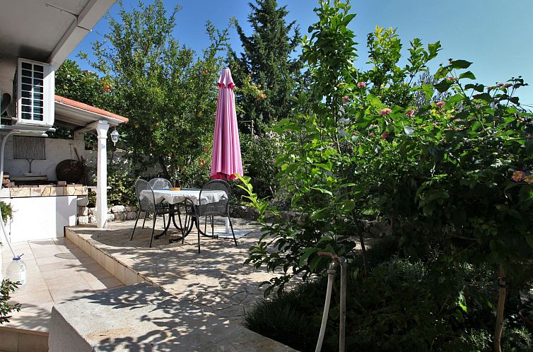 Guest house 1030640 - Apartment Dalmatia - Appartement Ivana mitten im Blumengarten