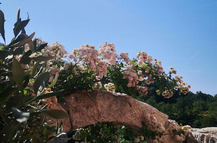 Vakantiehuis Schönes Steinhaus Villa Toni mit Pool
