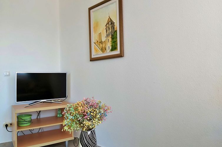 Appartement Wohnung Borak grün mit herrlichem Blick