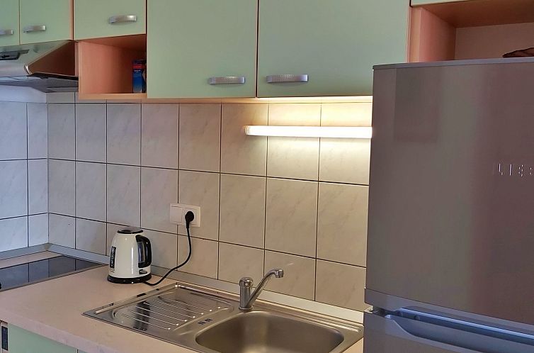 Appartement Wohnung Borak grün mit herrlichem Blick
