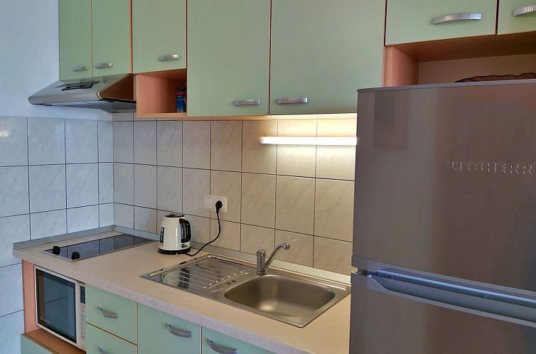 Appartement Wohnung Borak grün mit herrlichem Blick