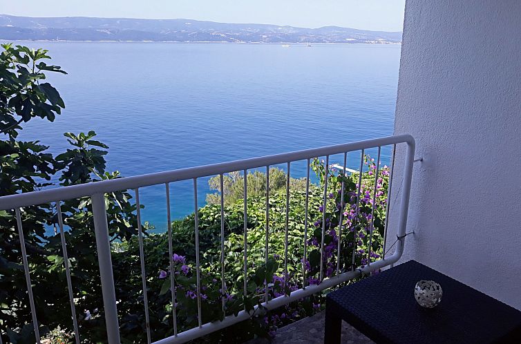 Appartement Haus am Wasser mit Blick aufs Wasser