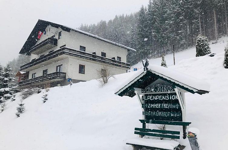 Unterkunft 10311506 - Ferienhaus Steiermark - Alpenpension Gasthof