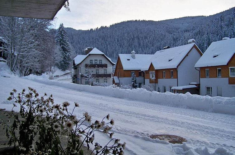 Alpenpension Gasthof