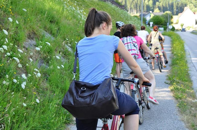 Alpenpension Gasthof