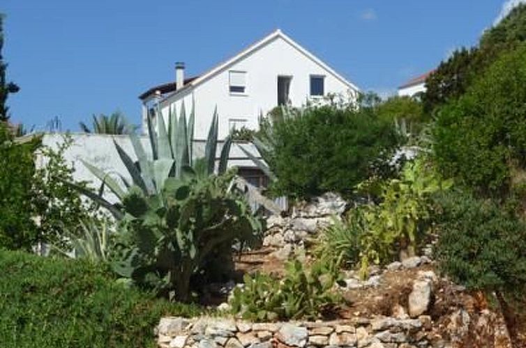 Appartement Ferienwohnung