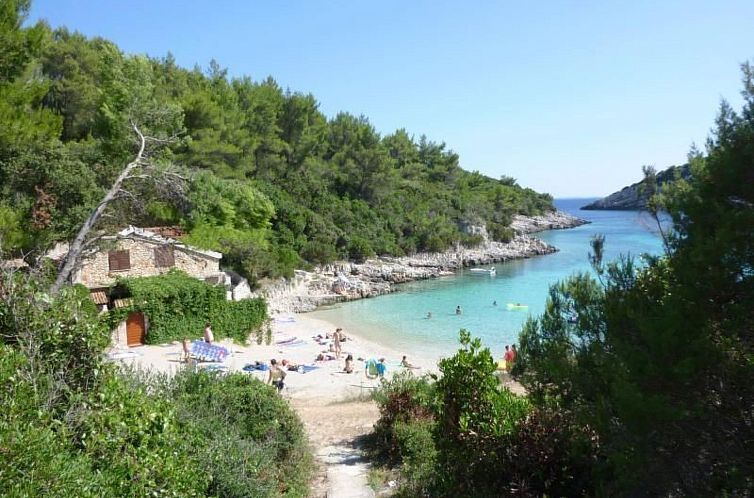 Appartement Ferienwohnung