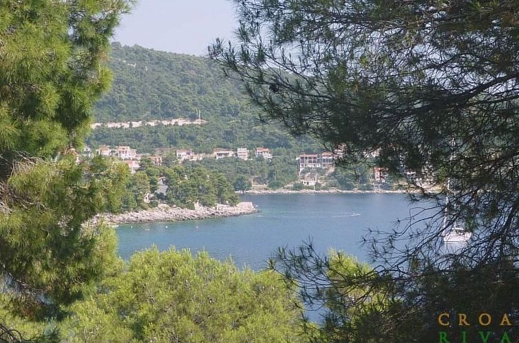 Appartement "Peaceful Paradise"
