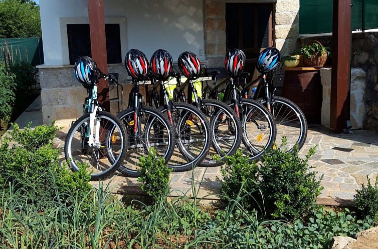 Vakantiehuis Bili dvori