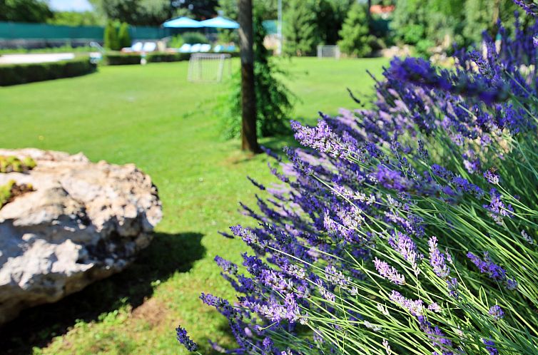 Vakantiehuis Bili dvori