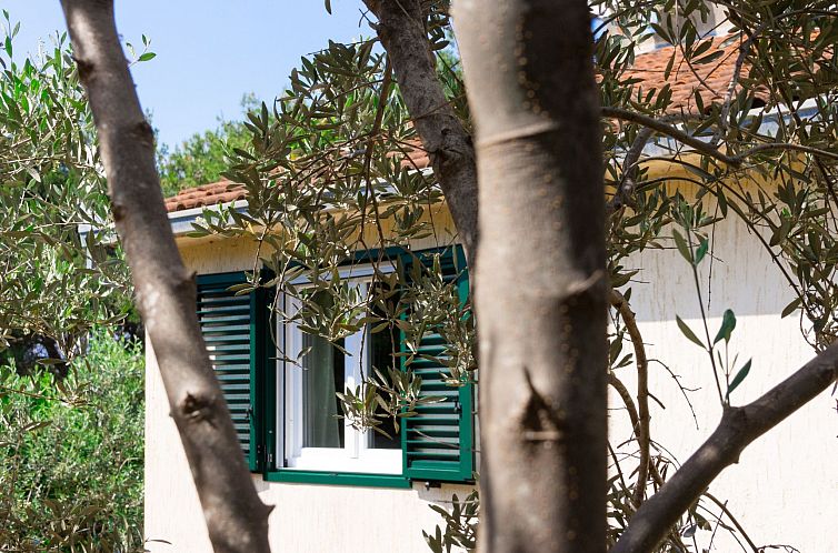 Vakantiehuis "Laurea" direkt am Strand