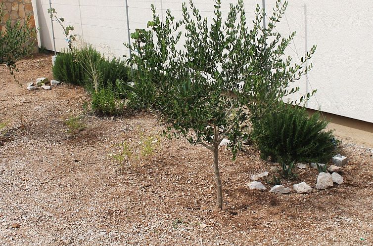 Appartement "Gubo1" mit Blick auf das Wasser