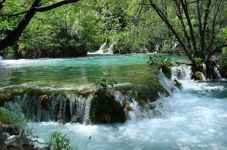 Appartement mit Meerblick in Vinjerac
