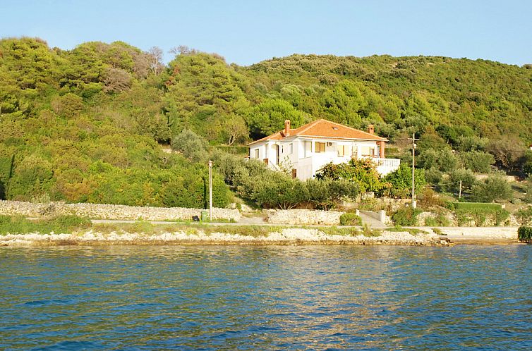 Guest house 10314403 - Apartment Dalmatia - Appartement Agneza