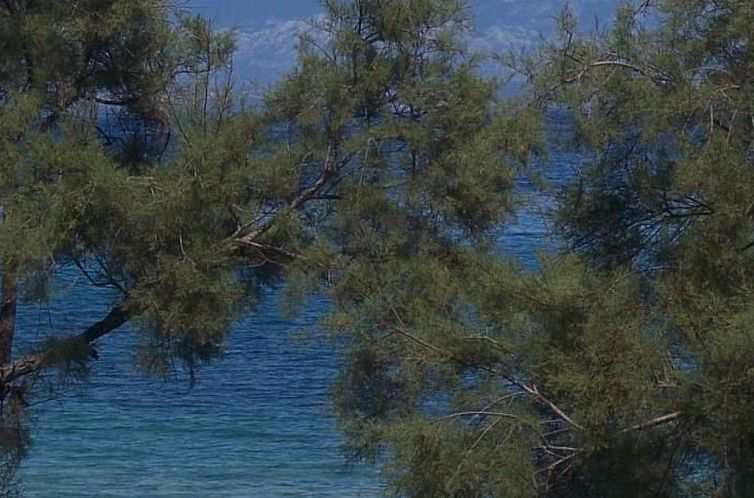 Vakantiehuis Haus direkt am Meer auf der Insel Silba