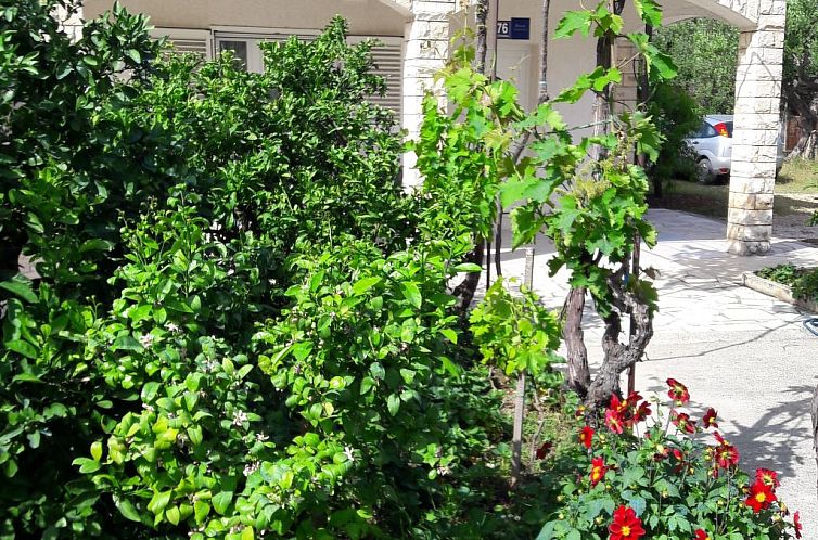 Appartement Wohnung direkt am Strand