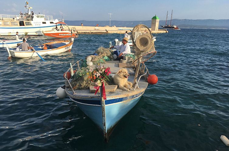 Appartement Wohnung in Bol