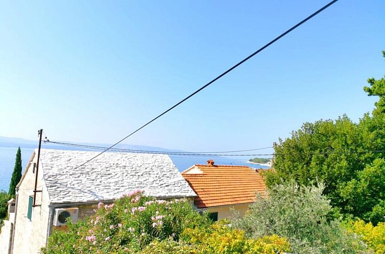 Appartement für 3 Personen  + 1 Kind ca. 55 m&sup2; in Bol,