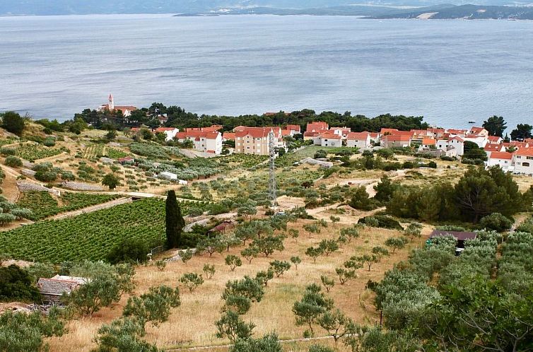 Appartement in Bol