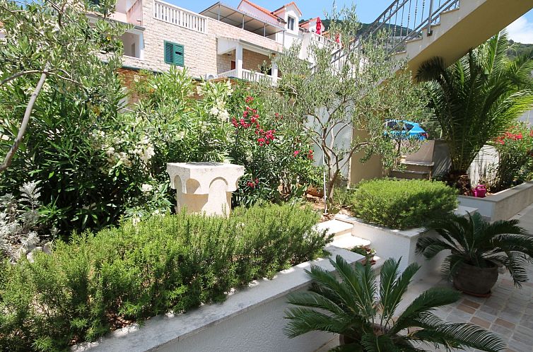 Appartement in Bol