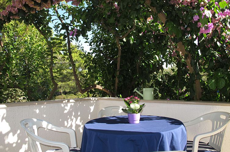 Unterkunft 10316212 - Appartement Dalmatien - Appartement Lila