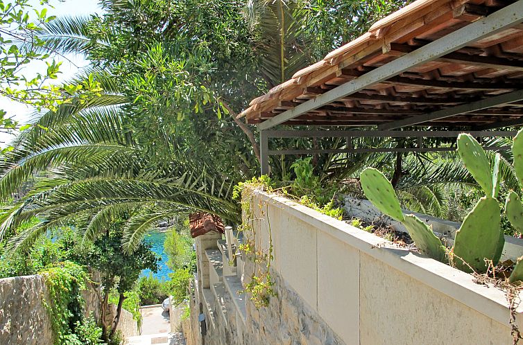 Vakantiehuis Garden