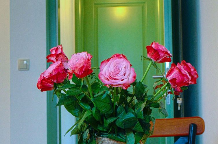 Appartement "Sweet Smile Postira"